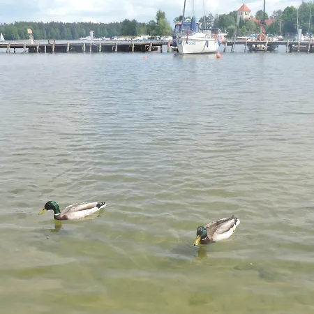 Mazurskie Wzgorze Casa de Férias Rydzewo (Gizycko)